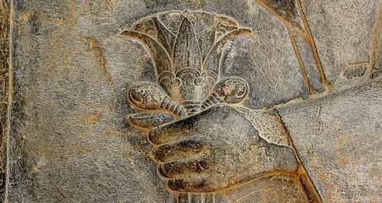 روز ملی انار