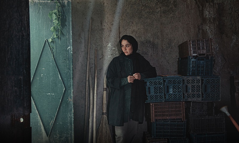 تحلیل روانشناختی فیلم در آغوش درخت