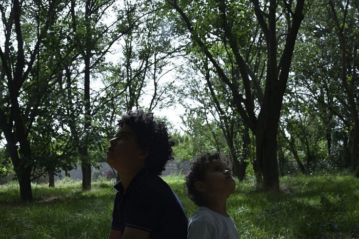 تحلیل روانشناختی فیلم در آغوش درخت