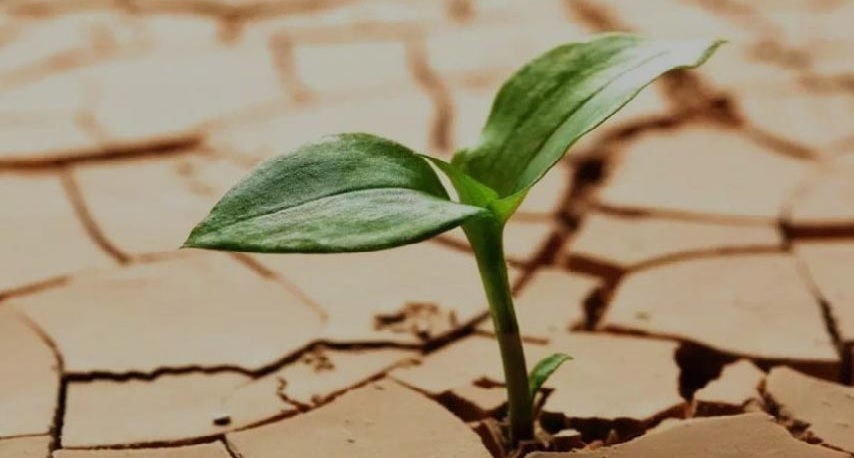 افراد تابآور در موقعیتهای دشوار چطور عمل میکنند؟