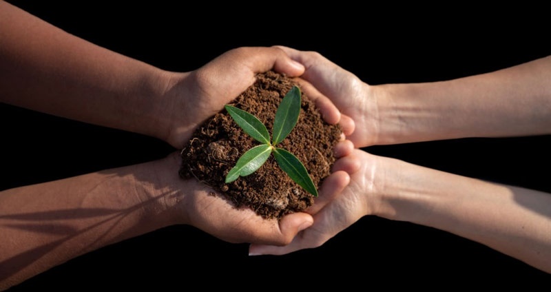 articles[i].Article_Title